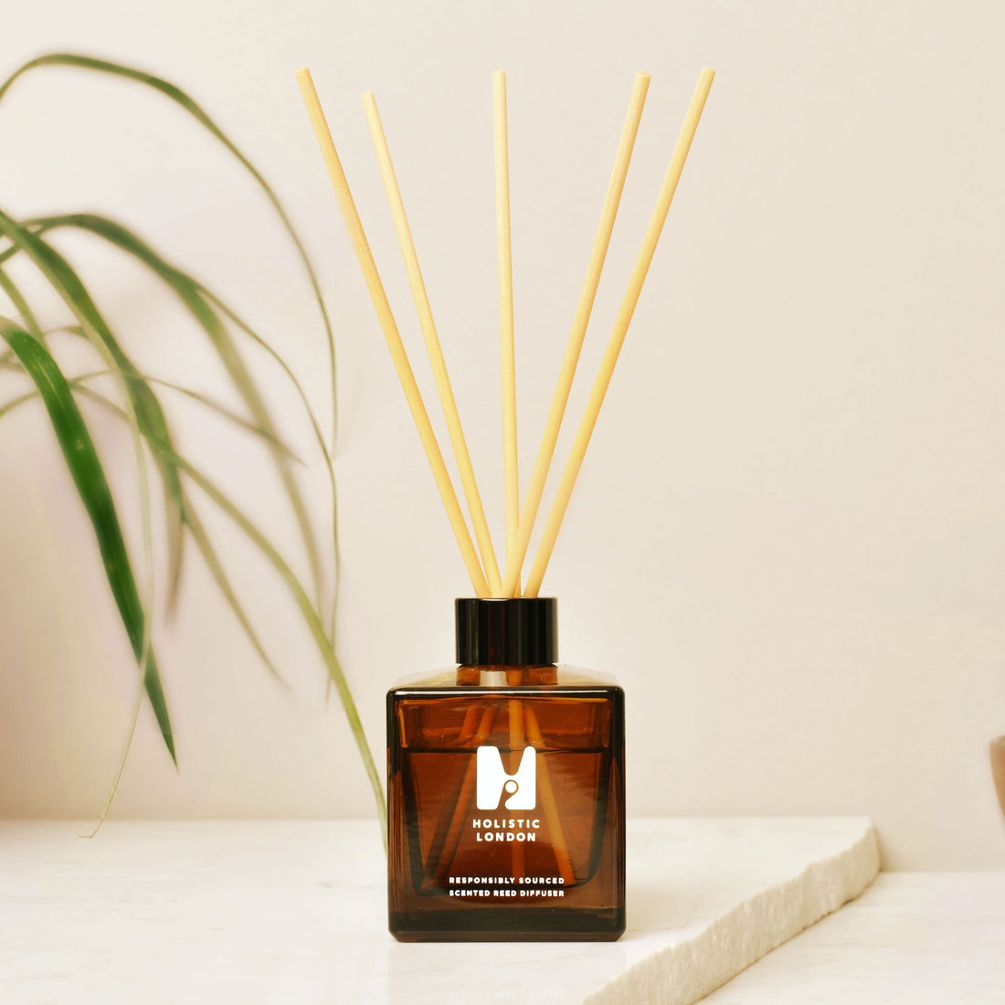 Bergamot And Wild Flowers Reed Diffuser 170ml ThePerfumeWorld